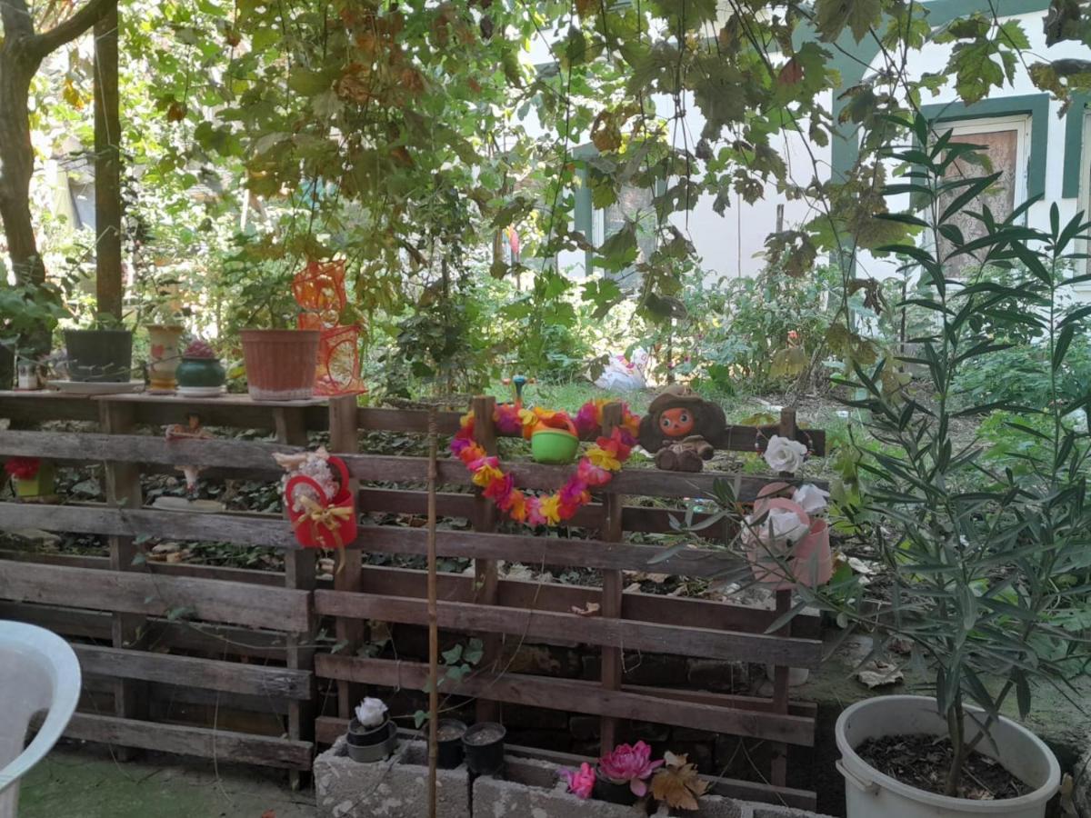 Adem'S Cozy Terrace Retreat Bed & Breakfast Скопие Екстериор снимка