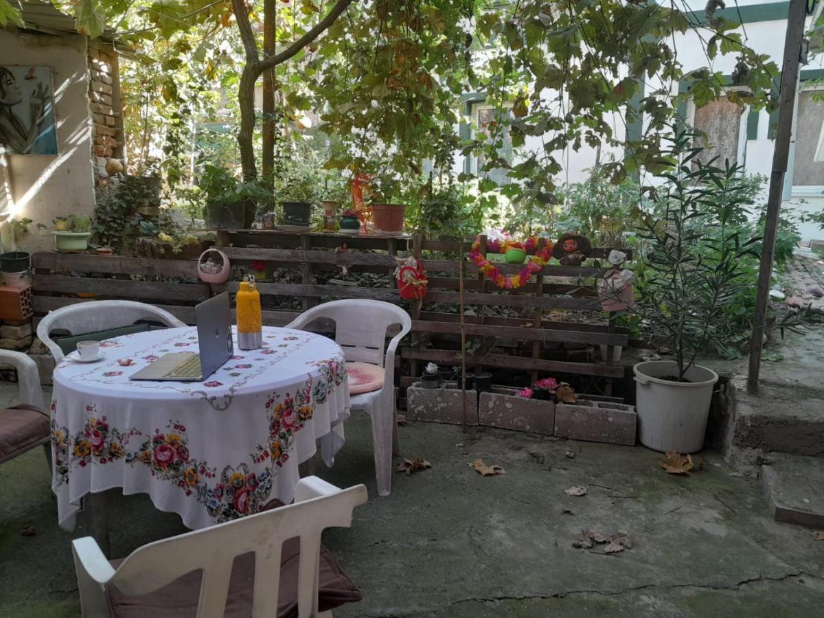 Adem'S Cozy Terrace Retreat Bed & Breakfast Скопие Екстериор снимка